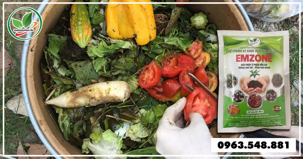 cach-u-phan-huu-co-tu-rac-tai-sinh-hoat 3