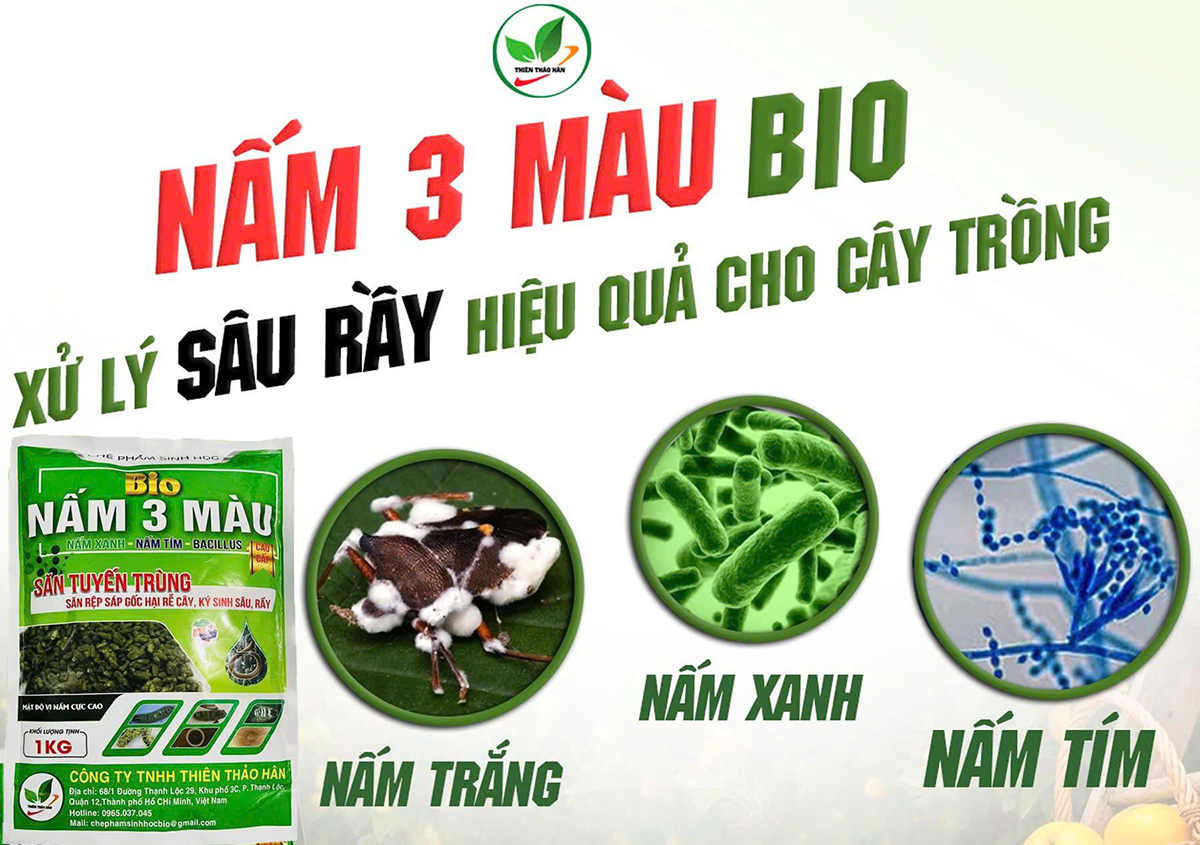 chế phẩm nấm 3 màu
