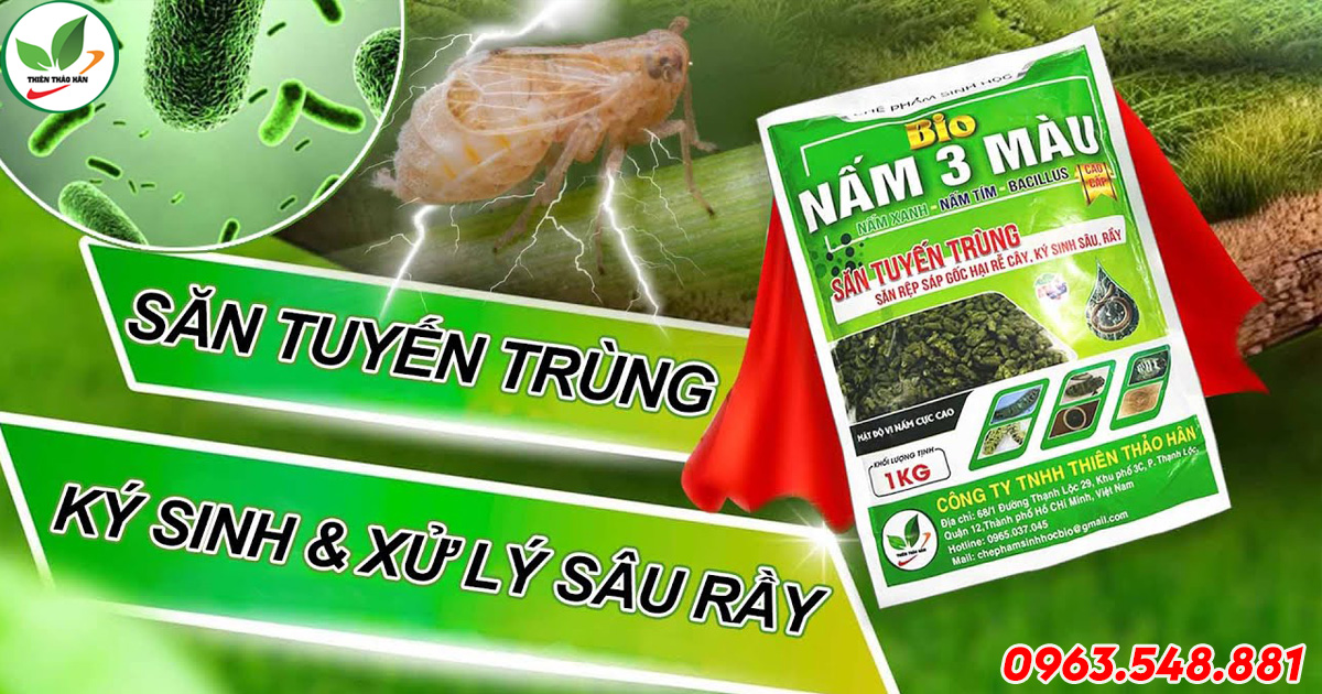 nấm 3 màu