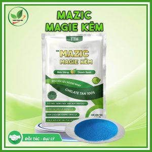 mazic magie kẽm