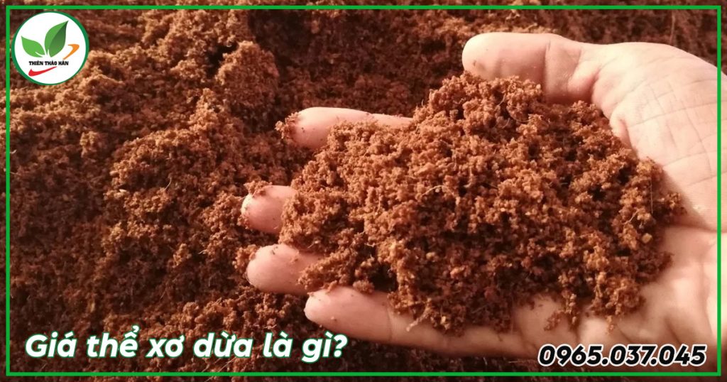 giá thể xơ dừa là gì