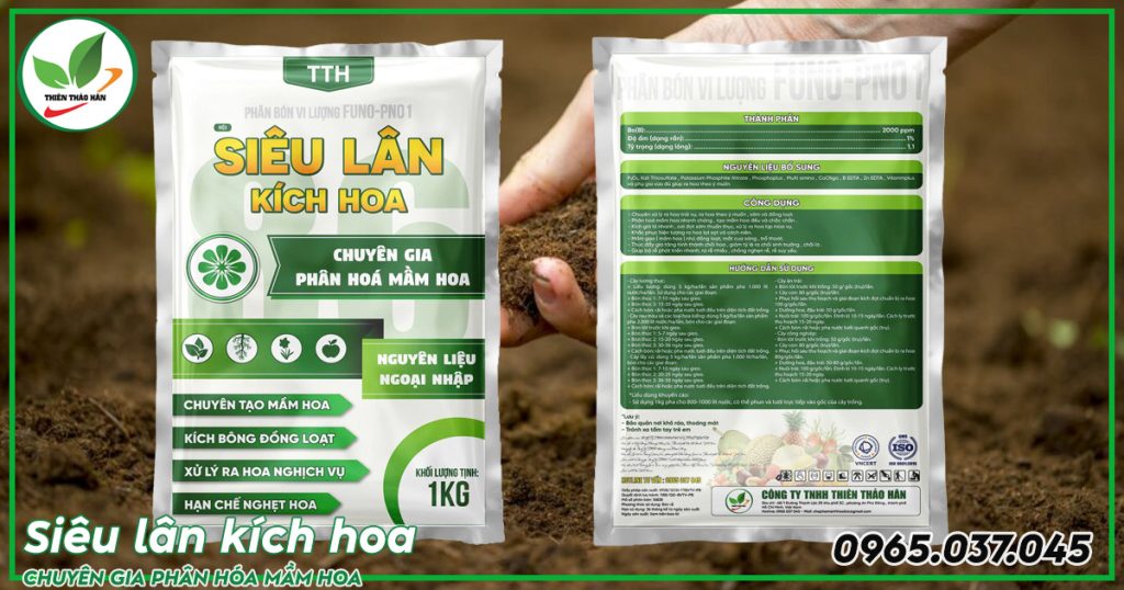 siêu lân kích hoa