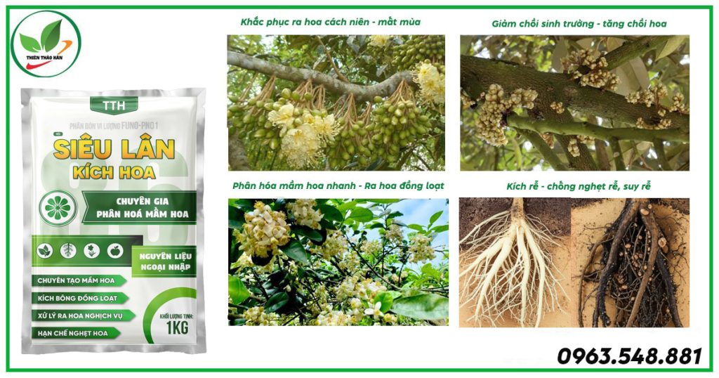 sản phẩm siêu lân kích hoa