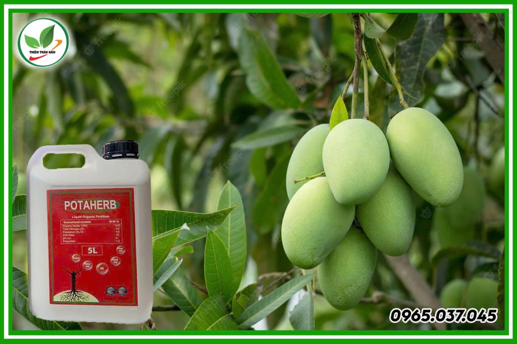 phân bón hữu cơ nhật bản