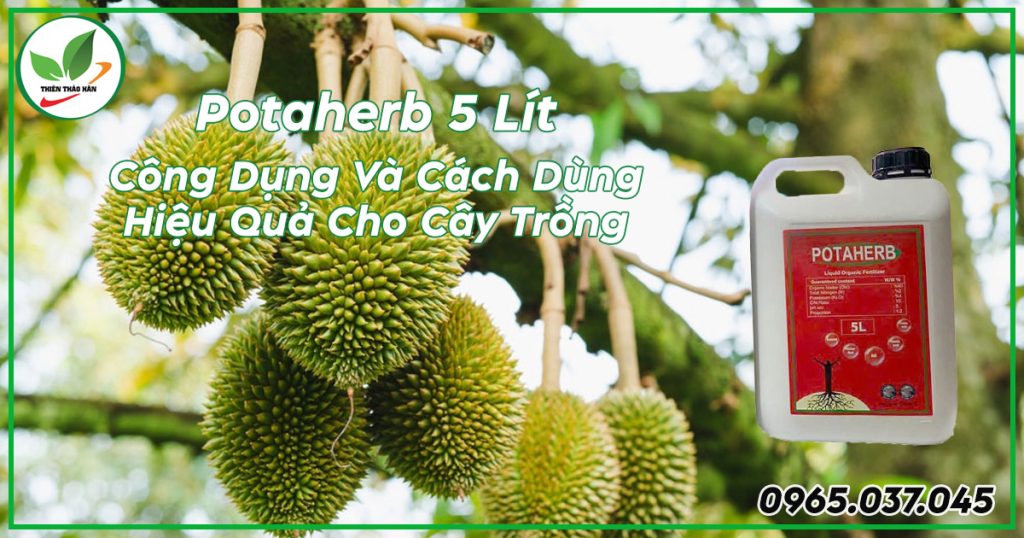 potaherb can 5 lít công dụng và cách dùng cho cây trồng