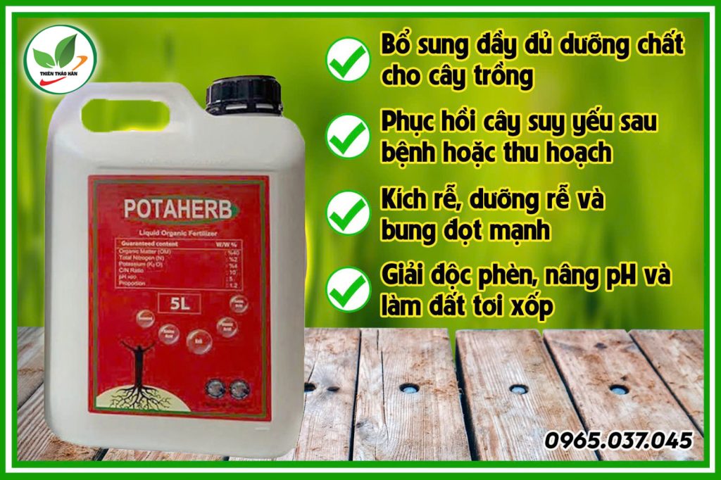 công dụng của phân bón potaherb
