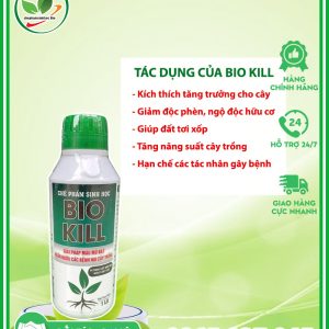 kháng thể dinh dưỡng bio kill