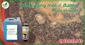 cách dùng mật rỉ đường nuôi vi sinh