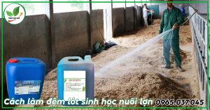 cách làm đệm lót sinh học trong chăn nuôi lợn