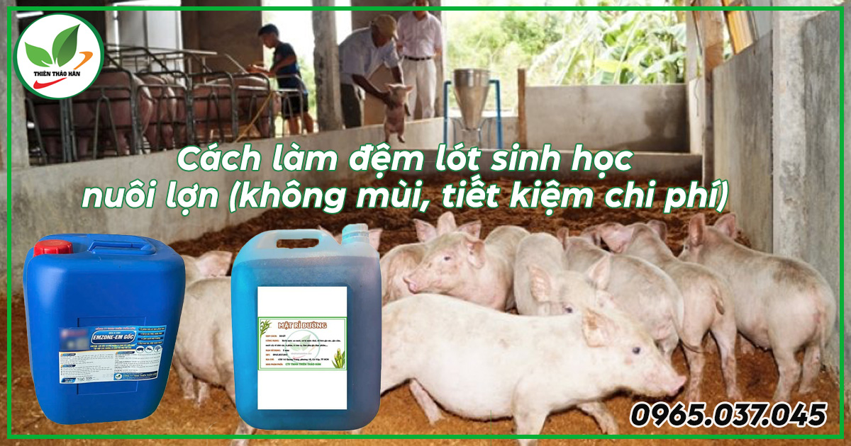cách làm đệm lót sinh học nuôi lợn