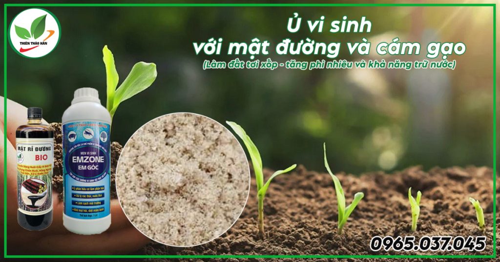 ủ vi sinh với mật đường và cám gạo