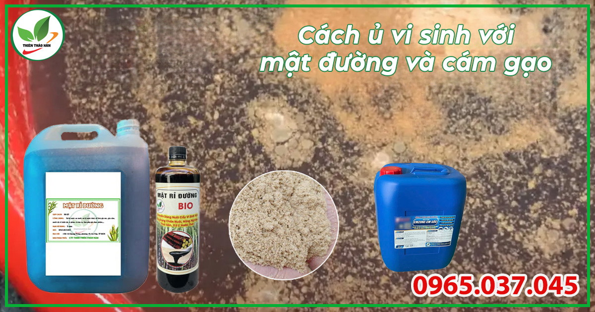ủ vi sinh với mật đường và cám gạo