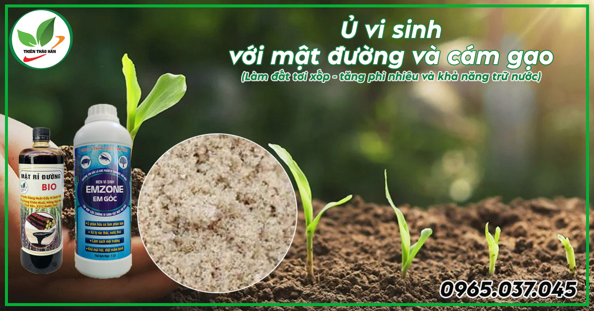 ủ vi sinh với mật đường và cám gạo
